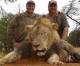 Calls Mount For Dentist Who Shot Famous Lion To Death To Be Extradited